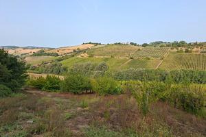 afitto terreno