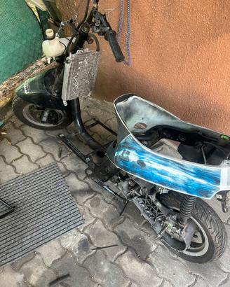 ZIP FAST RIDER (leggere descrizione)