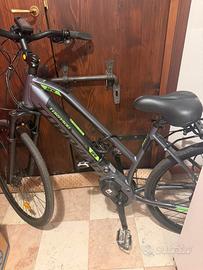 Bici E-bike Tornado DAFNE