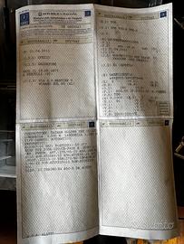 Quad TGB sport targhet 550cc 4x4