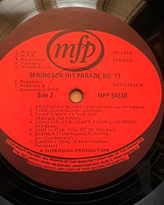 disco Springbok Hit Parade 1973 33 giri