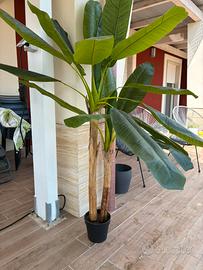 Pianta finta