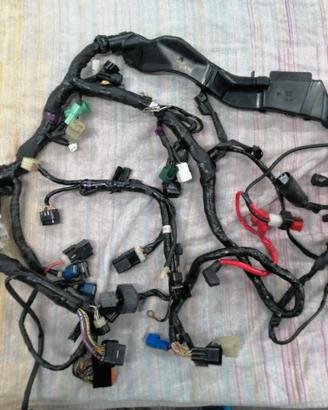 yamaha r1 2009 2013 cablaggio