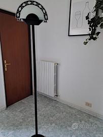 Plantana d'arredo 