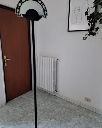 Plantana d'arredo 