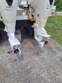 Coppia motori Evinrude E-Tec 250