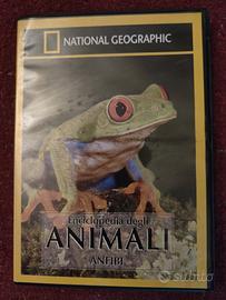 DVD National Geographic 