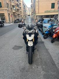 TIGER 800