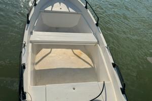 Barca motore Johnson