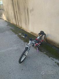 Bicicletta AXXIS 20 pollici