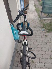 Bici mtb btw