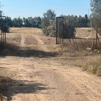 Terreno con serre e locali 6 ettari circa