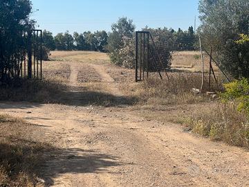 Terreno con serre e locali 6 ettari circa