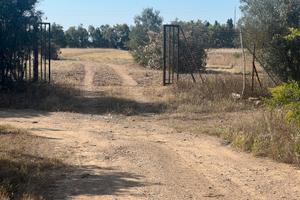 Terreno con serre e locali 6 ettari circa