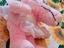 Immagine 5