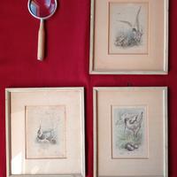 Antiquariato Vintage Stampe Amsterdam 1960