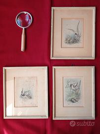 Antiquariato Vintage Stampe Amsterdam 1960