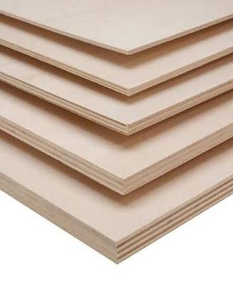 5 pezzi multistrato 10 mm