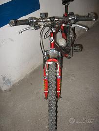 Mountain Bike CHESINI - Logan con contachilometri