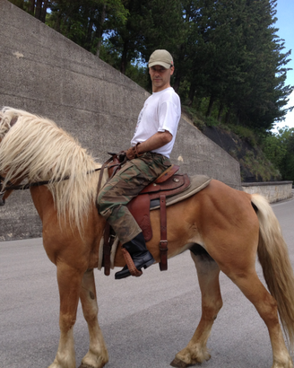 Puledri Haflinger Italia