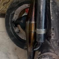 stage 6 pro replica Minarelli 