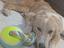 Immagine 4