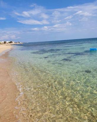 LAST MINUTE----Salento