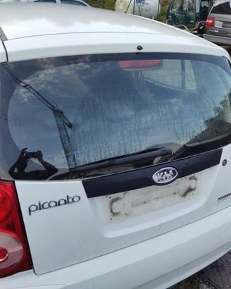Portellone nudo KIA PICANTO del 2009