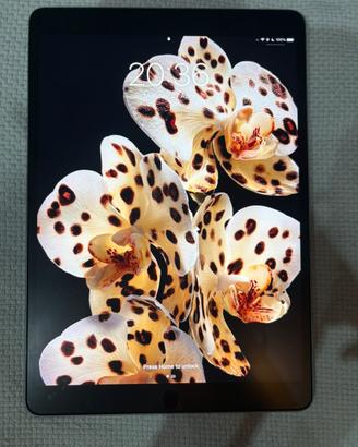Ipad Pro 10.5 (2017)
