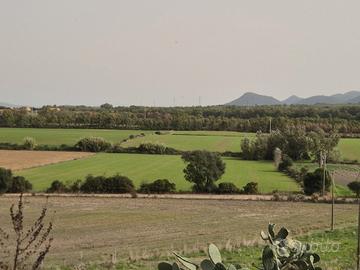 Terreni agricolo in loc. Barega - Carbonia