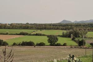 Terreni agricolo in loc. Barega - Carbonia