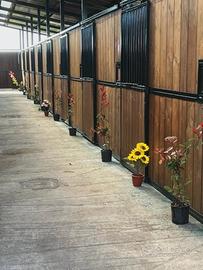 Scuderia in legno 20 box