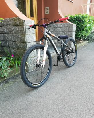 ROCKRIDER ST 120 (MODIFICATA) 