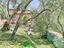 Immagine 11