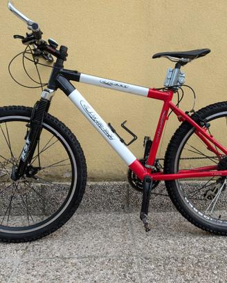Mountain bike assemblata