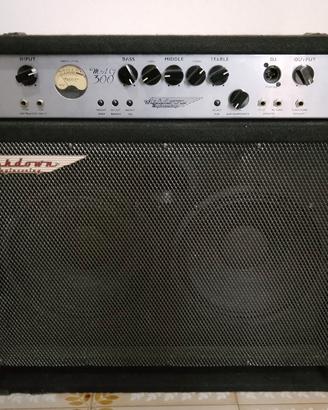 Ashdown Mag 300