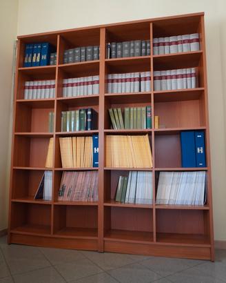 Libreria spaziosa in legno