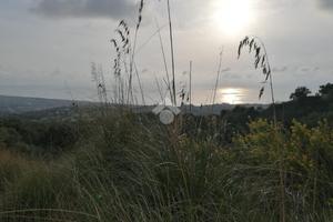 TER. AGRICOLO A SCALEA