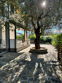 100 metri dal mare appartamento in villa