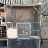 Gabbia con uccelli e nido