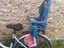 Immagine 1