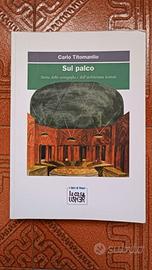 Sul palco - Carlo Titomanlio