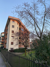 Verona, camera singola studenti ampi spazi comuni