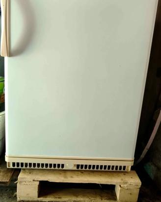 Congelatore BLUEsky 85 litri .