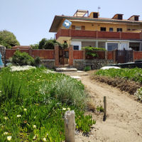 La terrazza sul mare argentario