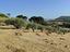 Immagine 23