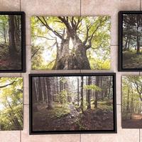 Set 6 Fotoquadri Professionali 45x30 su Dibond