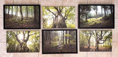 Set 6 Fotoquadri Professionali 45x30 su Dibond