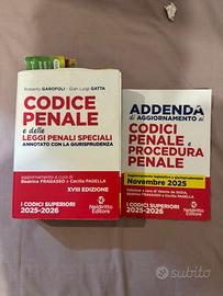 Codice di penale annotato con giurisprudenza