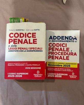 Codice di penale annotato con giurisprudenza